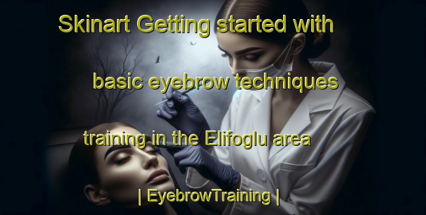 Skinart Getting started with basic eyebrow techniques training in the Elifoglu area | EyebrowTraining | EyebrowClasses | SkinartTraining-Turkey